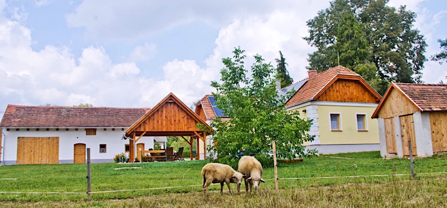 Harmatcsepp Vendégház-Kercaszomor-35309