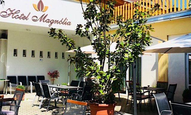 Hotel Magnólia-Balatonszepezd-31311