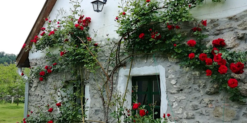 Kapolcs Cottage Vendégház-Kapolcs-63352