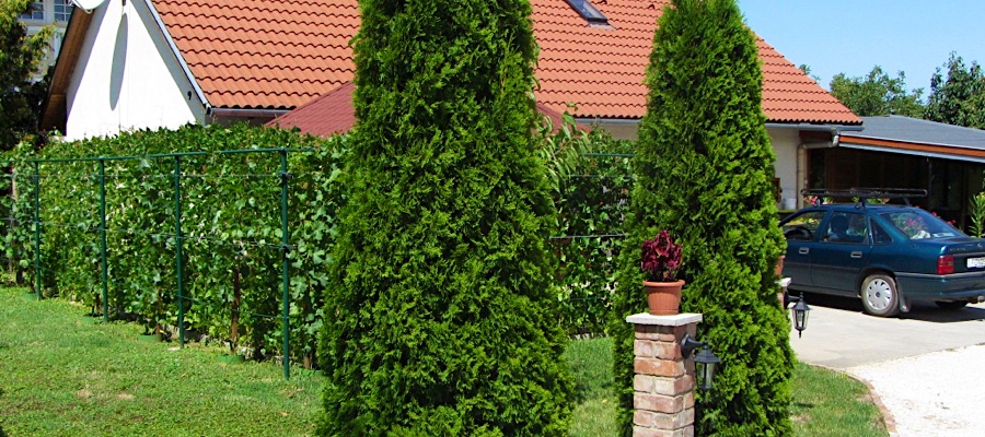 Meni Apartmanház-Balatonföldvár-30673