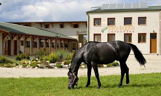 Pro Equus Lovaspark-Bagod-42509