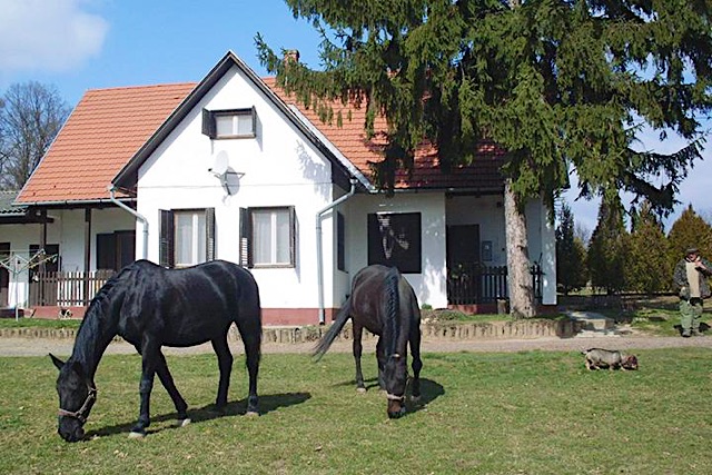 Vadászház Fogadó-Karád-28485