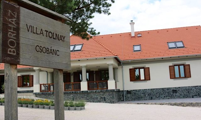 Villa Tolnay Vendégház-Gyulakeszi-63401