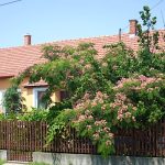 Abádi Karmazsin Ház-Abádszalók-68152