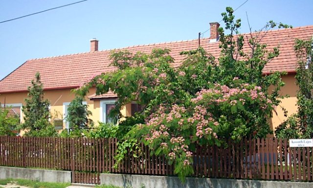 Abádi Karmazsin Ház-Abádszalók-68152