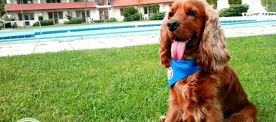 Abbázia Country Club-Nemesnép-38394