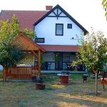 Adamecz Ház-Abádszalók-28413