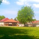 Aggdiófa Kulipintyó-Pácin-32908