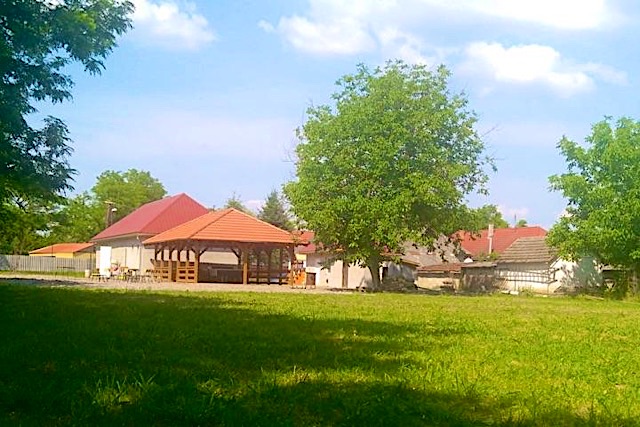 Aggdiófa Kulipintyó-Pácin-32908