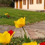 Alsó-szer Vendégház-Őrség-Csörötnek-35396