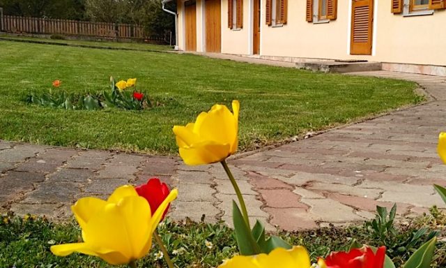 Alsó-szer Vendégház-Őrség-Csörötnek-35396