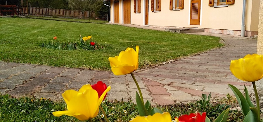 Alsó-szer Vendégház-Őrség-Csörötnek-35396