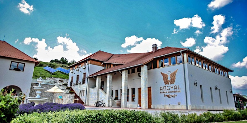 Angyal Borház-Rátka-42465