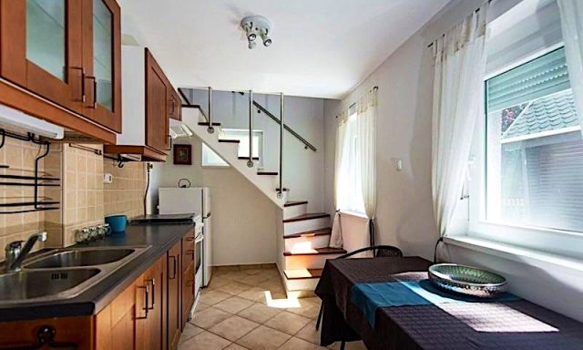 Arborétum Nyaraló-Szarvas-41118