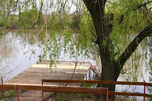 Árnyasfűz Nyaraló-Mezőtúr-27984