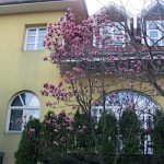 Art Vendégház-Budapest-35450