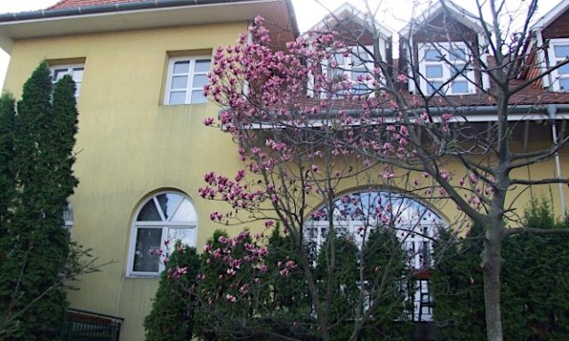 Art Vendégház-Budapest-35450