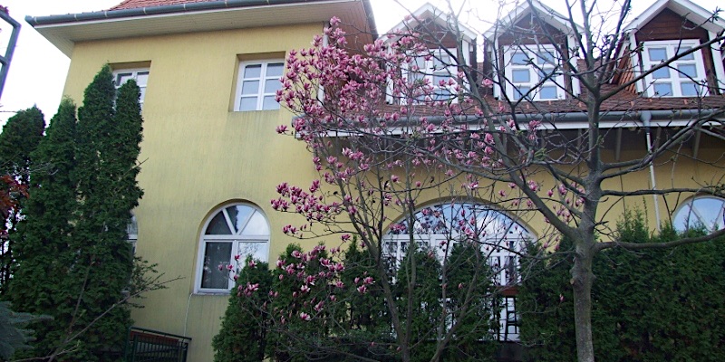 Art Vendégház-Budapest-35450