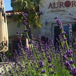 Aurora Panzió-Bük-42826