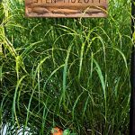 Az én szigetem Vendégházak-Szarvas-60756