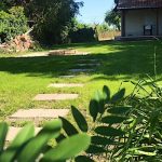 Bambusz Vendégház-Békésszentandrás-60757