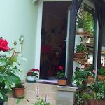 Barátka Vendégház-Abádszalók-35978