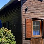 Bedőlt Fa Horgásznyaraló-Gyomaendrőd-71899