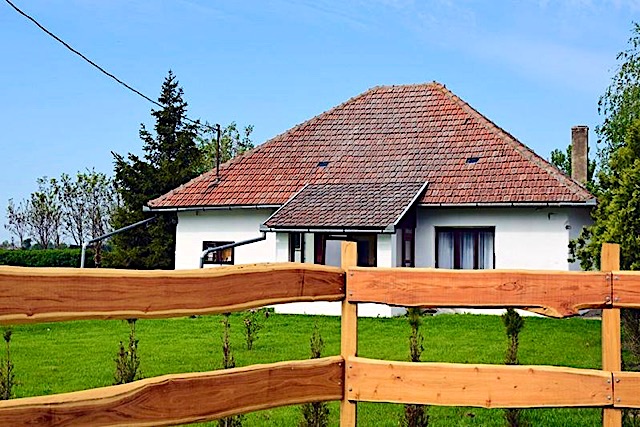 Bencsik Tanya Vendégház-Békésszentandrás-29865