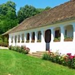 Berki Porta-Dinnyeberki-11954