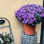 Bobbio Hotel-Budapest-35483