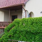 Boglárka Apartman-Tihany-32667