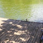 Boglárka Horgásznyaraló-Gyomaendrőd-27713