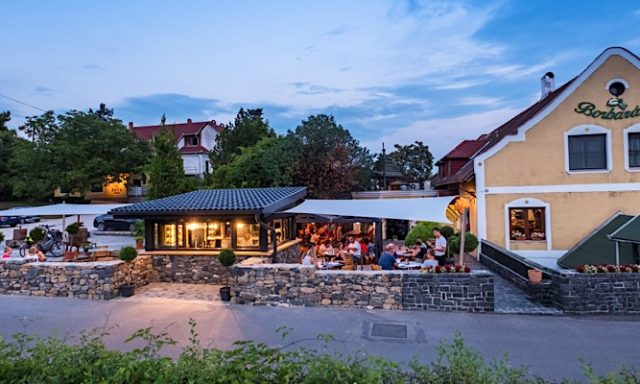 Borbarátok Panzió és Étterem-Badacsonytomaj-30257