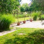 Boróka Apartman-Sarud-44580