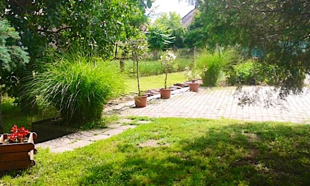 Boróka Apartman-Sarud-44580
