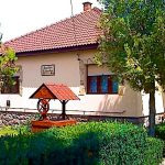 Borostyán Kulcsosház-Dédestapolcsány-9625