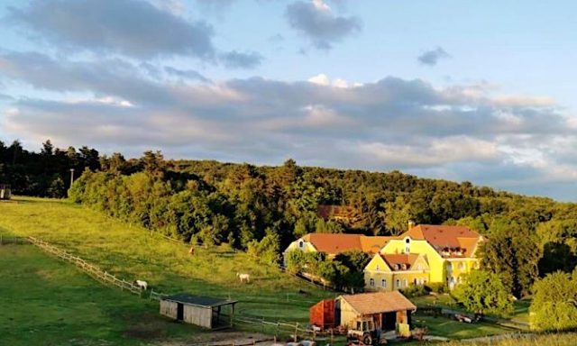 Cseri Kastély Szálloda és Étterem-Tótvázsony-34159