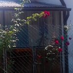 Csokonai Apartman-Balatonfenyves-30625