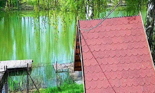 Csomor-Lak Vendégház-Gyomaendrőd-43680