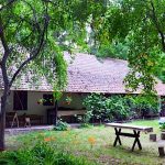 Csonki Tanya Vendégház-Szarvas-27973