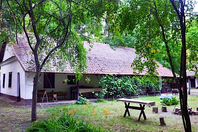 Csonki Tanya Vendégház-Szarvas-27973