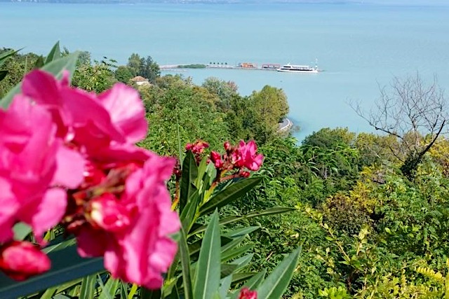 Csöpi Panzió-Tihany-32670