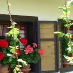 Csörgő Vendégházak-Szalafő-35314