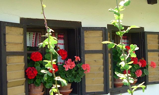 Csörgő Vendégházak-Szalafő-35314