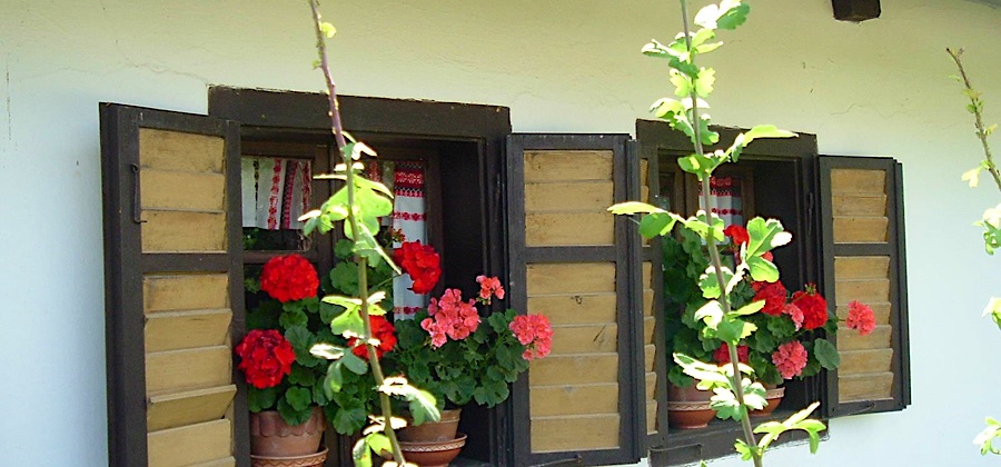 Csörgő Vendégházak-Szalafő-35314