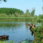 D K Panzió-Fadd-42786