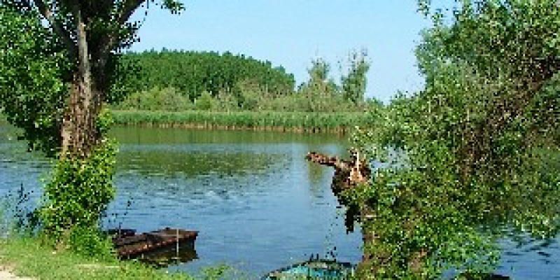 D K Panzió-Fadd-42786