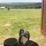 Dharma-Siófok-63477