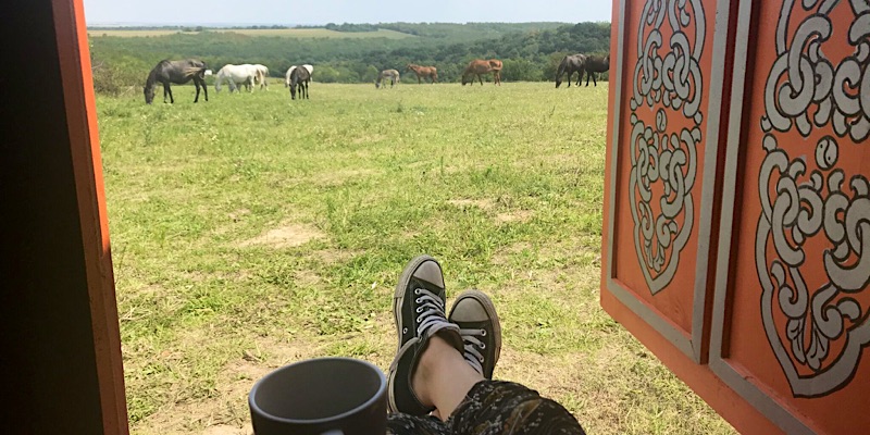 Dharma-Siófok-63477