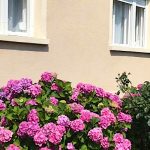 Diófa Apartman-Balatonederics-30588